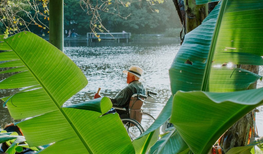 金峰滷肉飯＆台北植物園